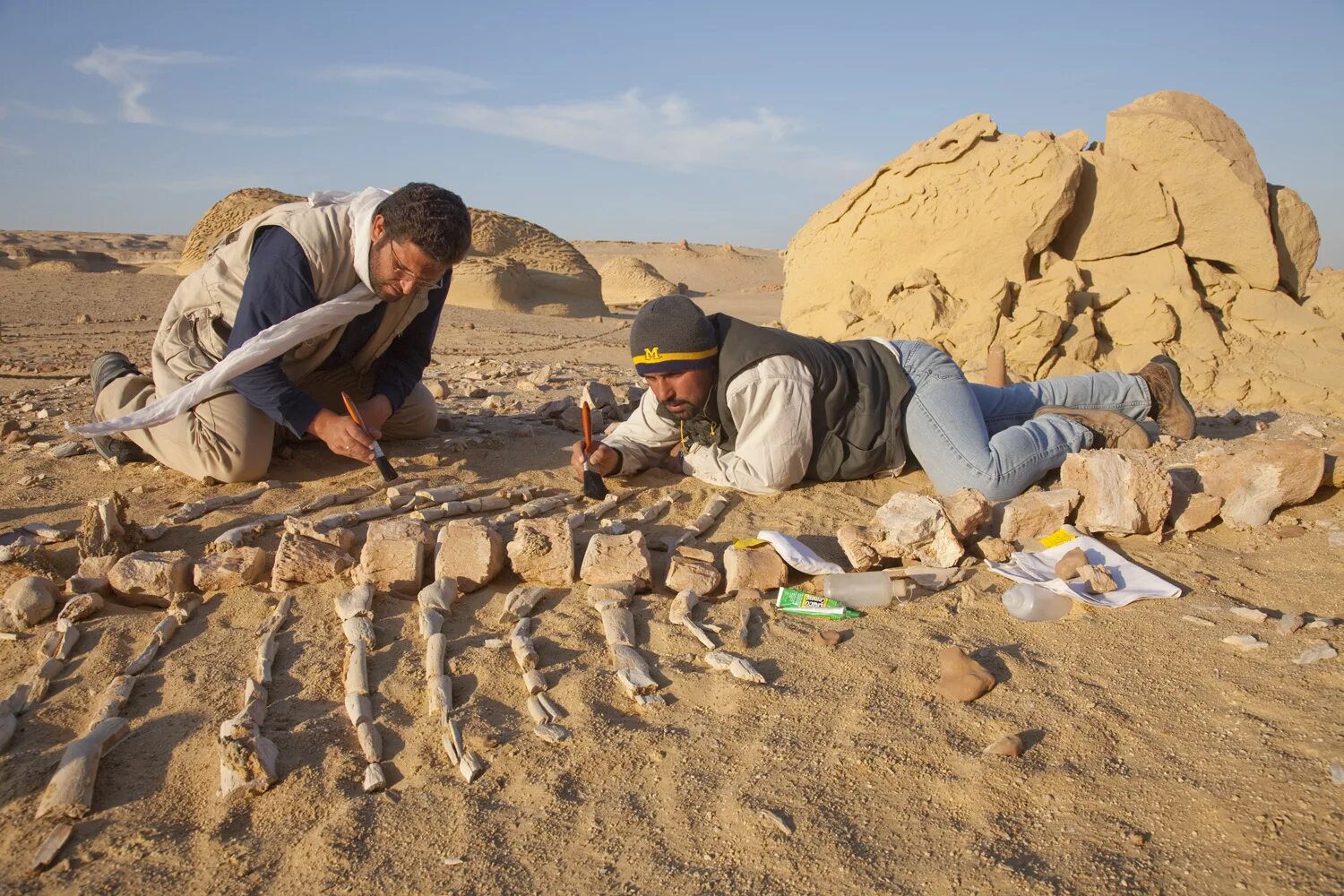 Долина китов Вади-Аль-хитан. Пустыня Гоби кладбище динозавров. Археолог. Археология для детей.