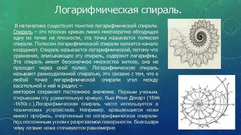 Свойства спирали