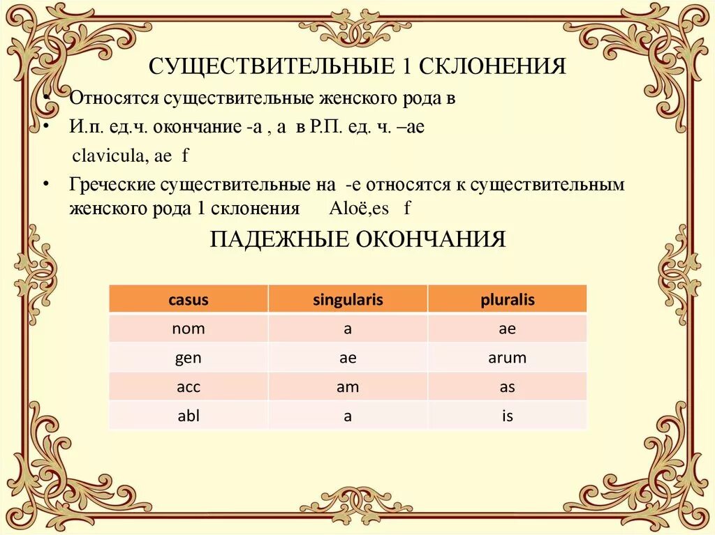 Склонение существительных женского рода. Что относится к первому склонению. Что относится к 1 склонению существительных. Существительные 1 склонен я женского рода.