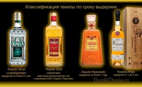 Чем запивают текилу