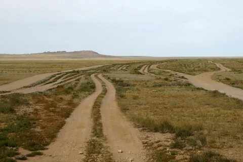 Степь дороги текст