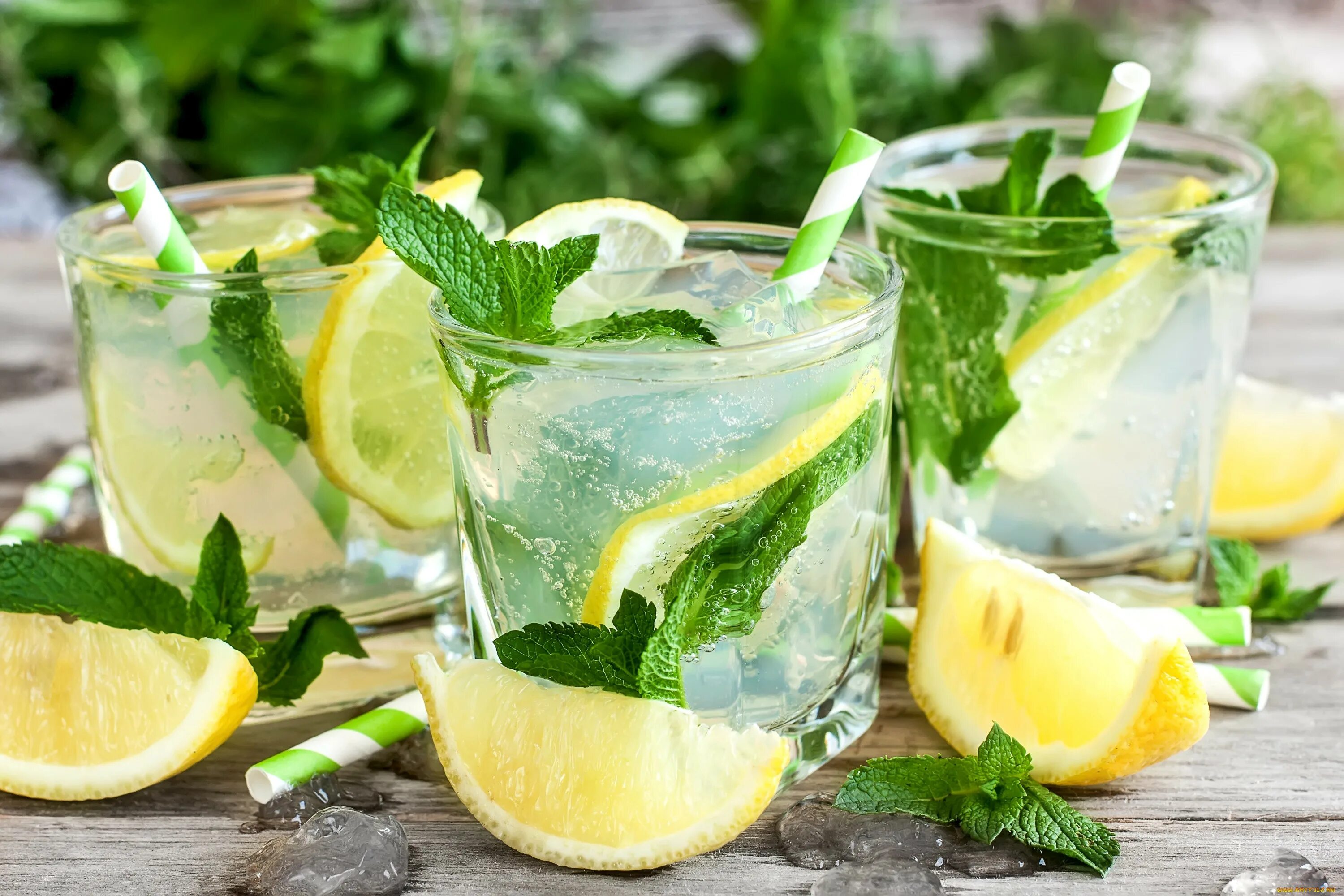 Напиток из мяты. Лимонад lemon мята. лимонад лайм и мята. mint mojito напиток. мохито с лимоном.