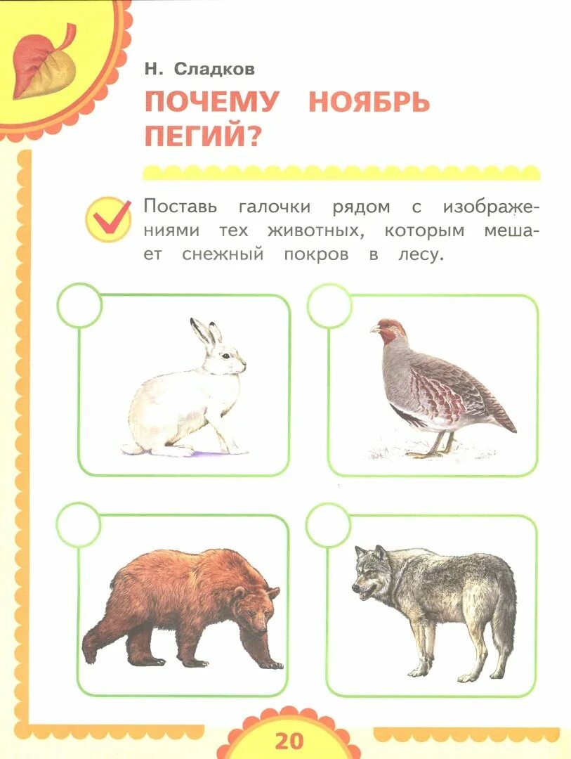 Почему ноябрь пегий. Н сладков почему ноябрь пегий. Почему ноябрь пегий иллюстрации. Н сладков почему ноябрь пегий. Ноябрь пегий.