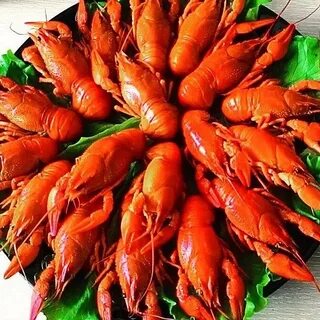 Раки липецк