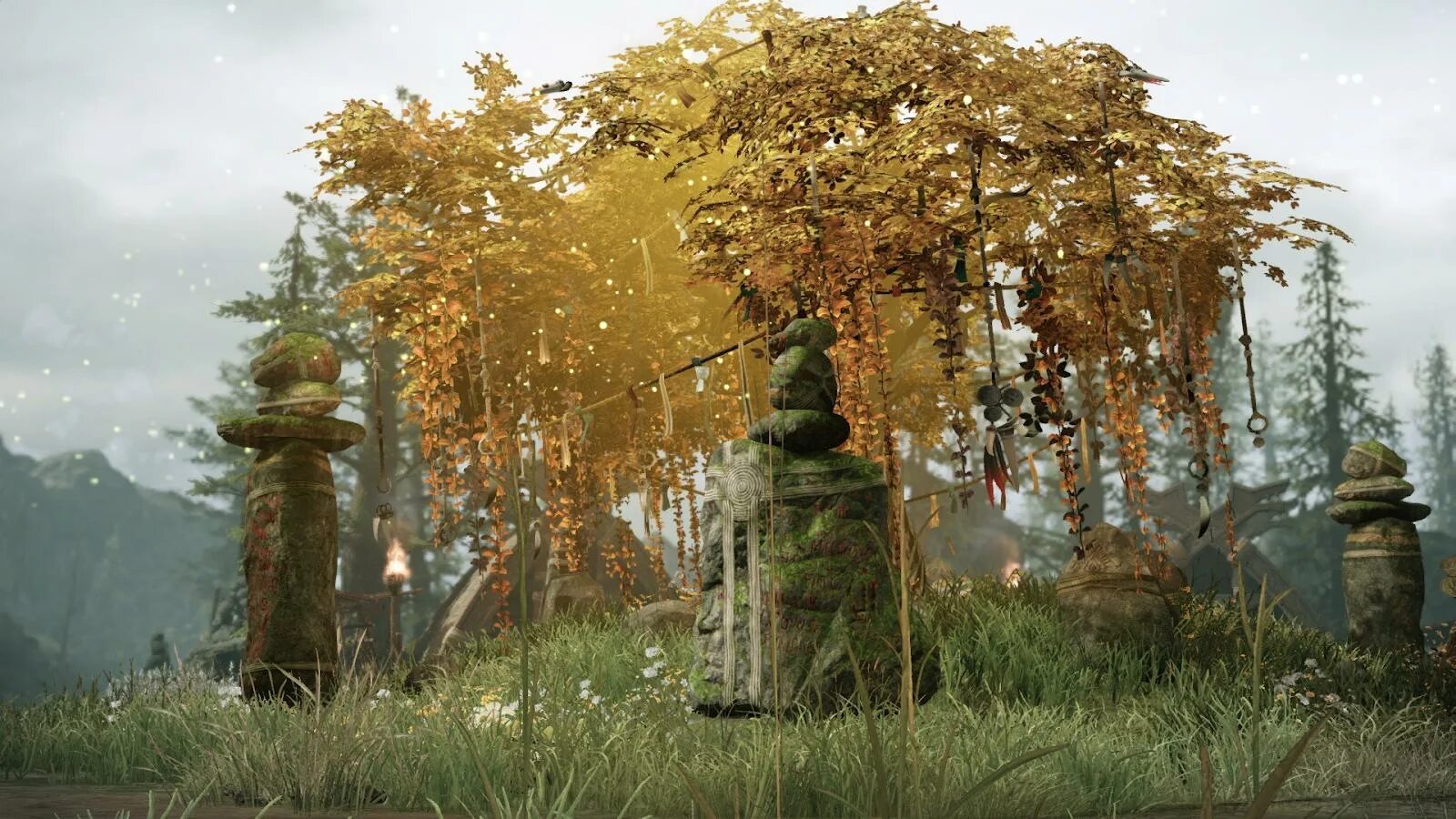 Лес осенью. Пень в лесу. Медовый лес. Сказочная поляна в лесу. Лосиный остров дендрарий босоногая тропа.