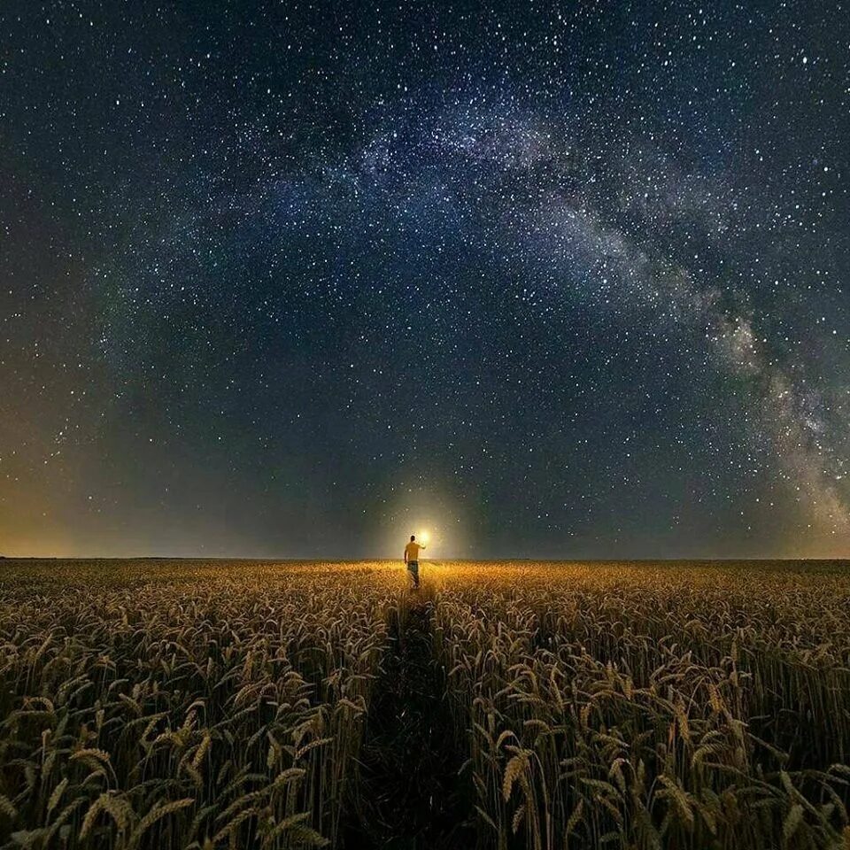 Звездное небо в поле. Поле ночью. Ночью в полях под. Поле ночью. Ночью в полях под.
