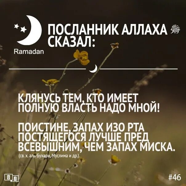 Хадисы про месяц Рамадан. Хадисы про Рамадан. Хадисы о посте в месяц Рамадан.