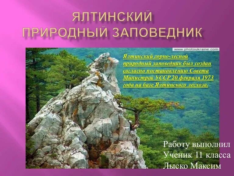 Ялтенский. Ялтинский Горно Лесной заповедник в Крыму. Площадь ялтинского Горно-лесного заповедника. Ялтинский Горно-Лесной заповедник презентация. Ялтинский заповедник презентация.