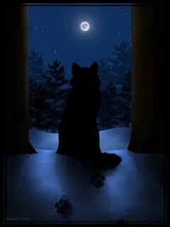 Кошка смотрит на луну