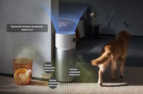 Xiaomi purifier elite