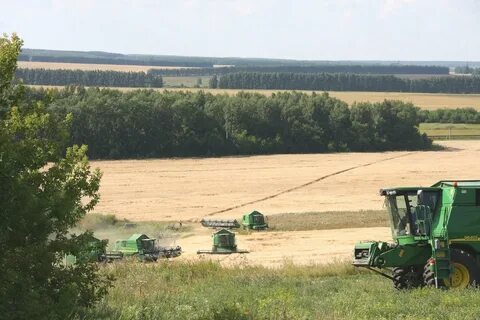 Ставропольские почвы