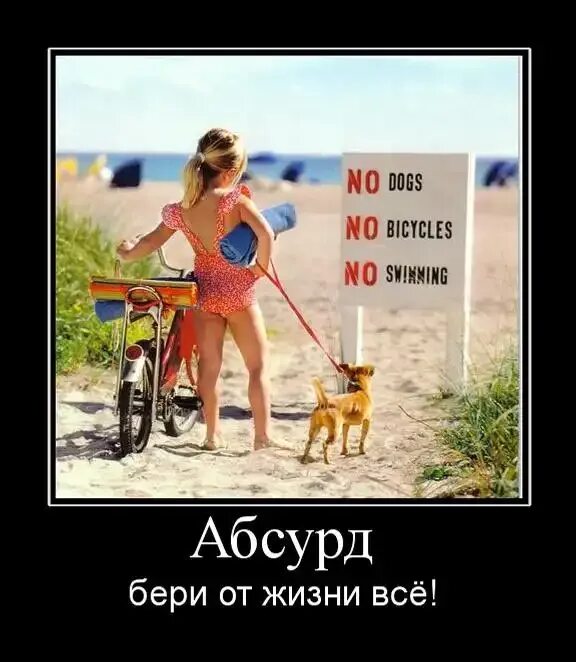 Абсурдный юмор пример. Юмор в картинках. Долина абсурда неси коня. Абсурдные анекдоты. Абсурдные анекдоты.