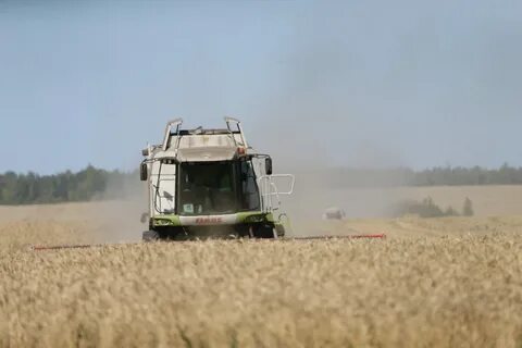 Пензенское сельское хозяйство