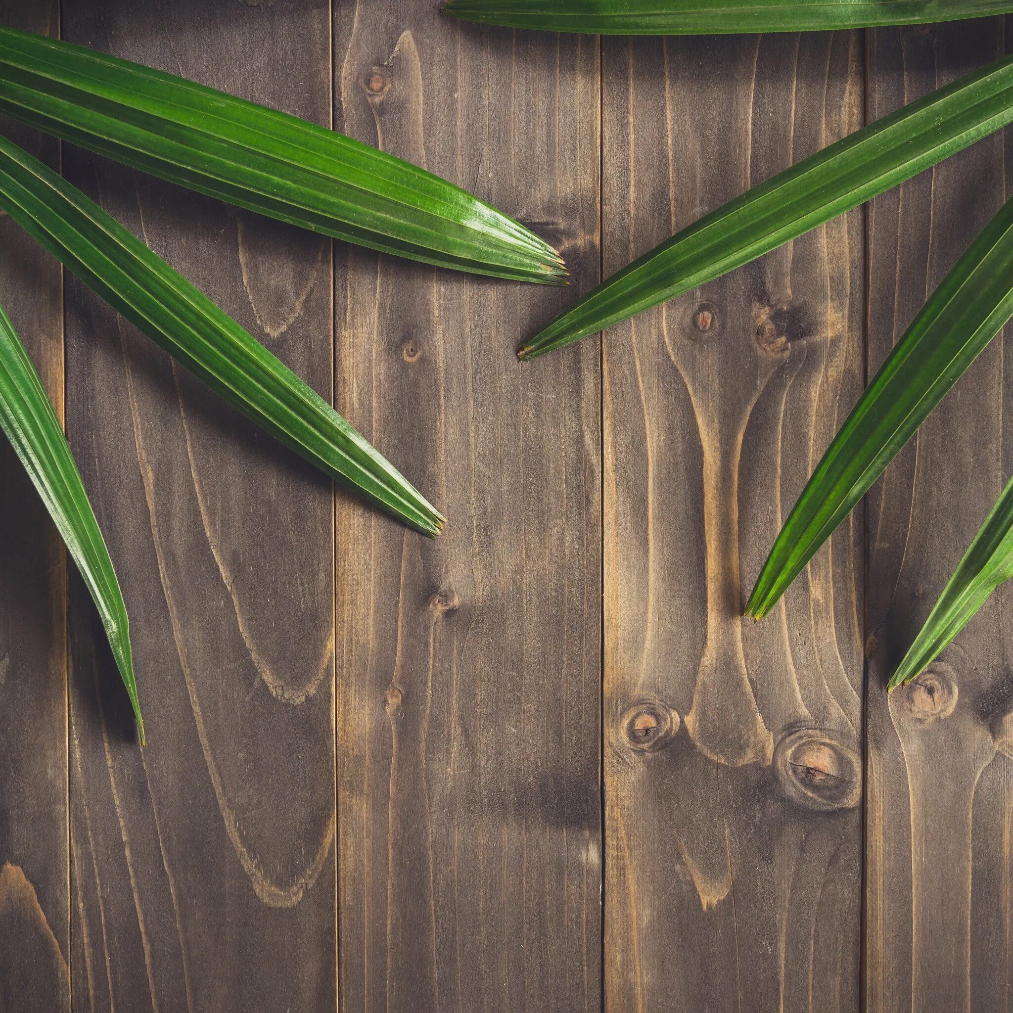 деревянный фон с листьями. серый фон с листьями. фон стола листья. текстура стола дерево. фон для презентации осень.