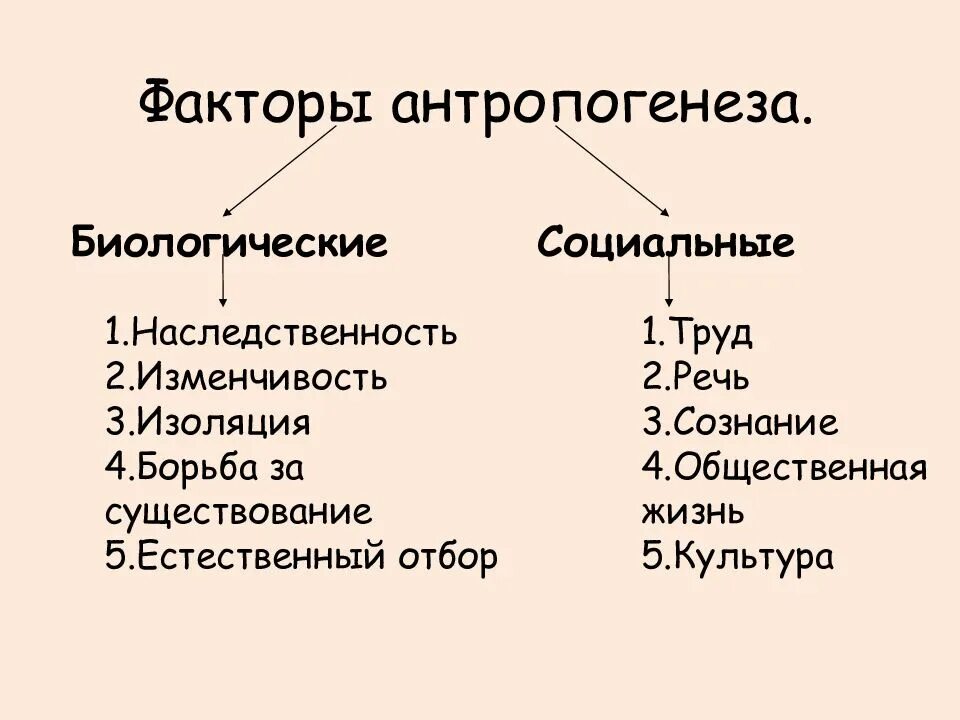 Факторы антропогенеза биологические и социальные схема. Биологические и социальные факторы человека таблица. Биологические и социальные факторы становления человека. Заполните таблицу биологических и социальных факторов антропогенеза.