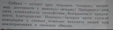 Падеж слова собака