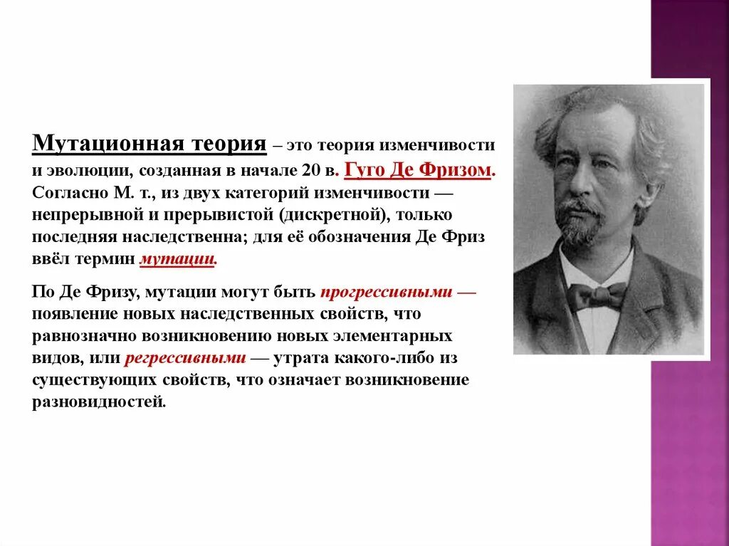 Х де фриз. Хуго де фриз нидерландский ботаник. Хуго де фриз нидерландский учёный. Хуго де фриз мутационная теория. Гуго де фриз вклад в биологию.