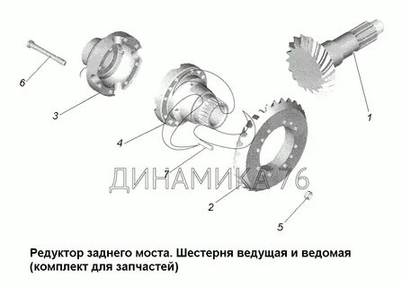 Ведущая и ведомая шестерня