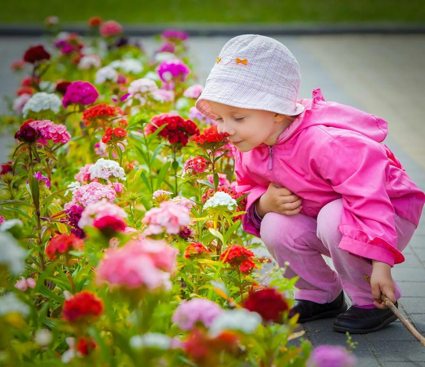 Цвет в жизни ребенка. Дети с цветами. Цветы для детей. Девочка с цветами. Цветы сада для детей.