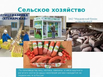 Экономика мордовии