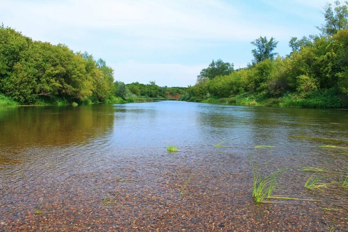 Река Сакмара Оренбургская. Речка Сакмара Оренбург. Саракташ река Сакмара. Река Сакмара Оренбург. Реки россии оренбург