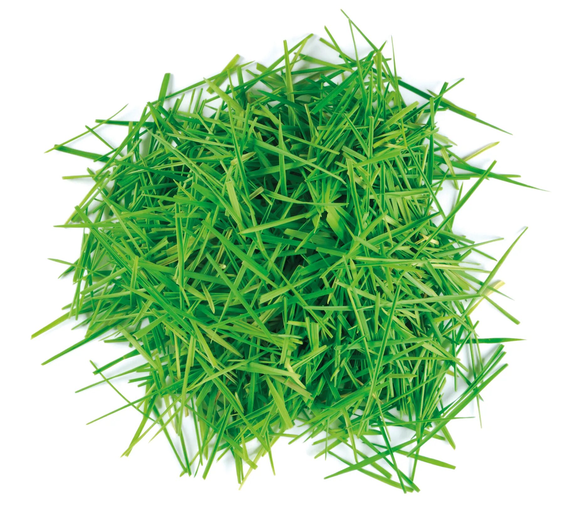 Grass check. Grass clippings.