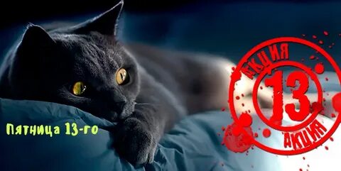 Зацепить 13 го читать