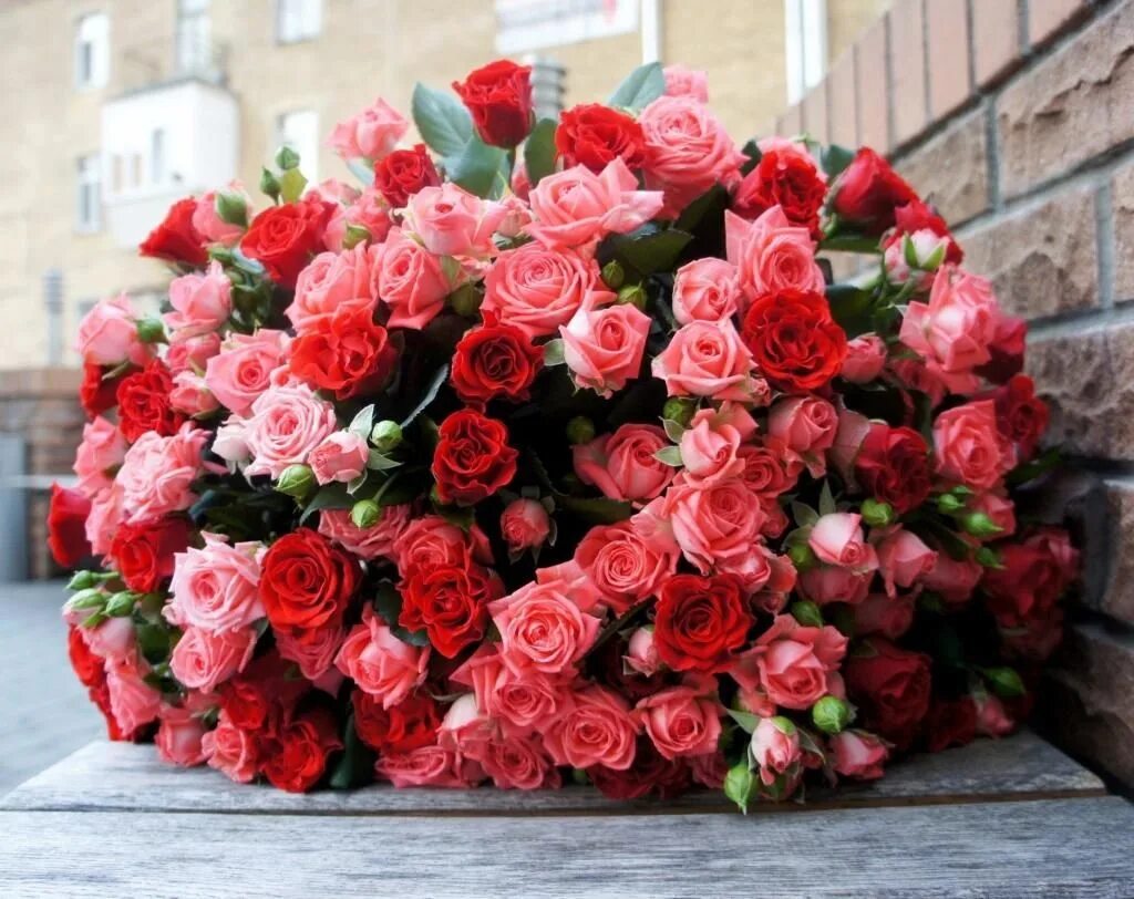 С днем рождения огромные розы. Букет шикарный. Шикарный букет роз. Огромный букет. Красивые большие букеты.