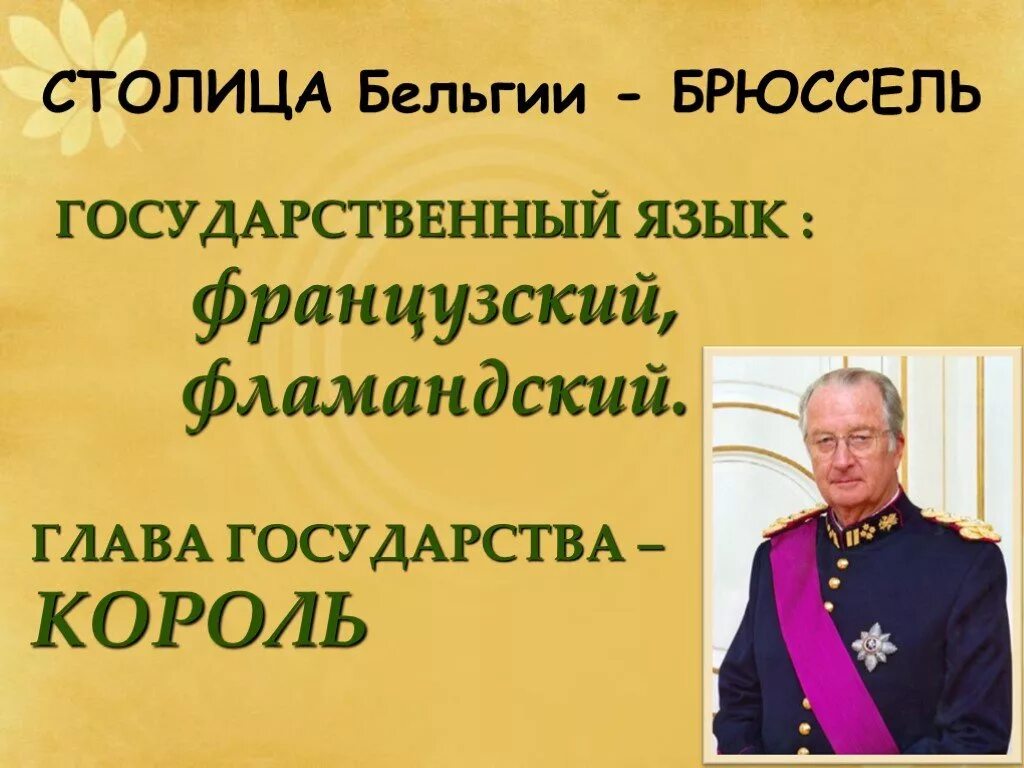 Глава государства является король. Государственный язык Бель. Брюссель столица глава государственный язык. Бельгия гос язык.