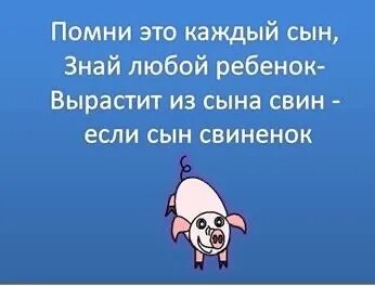 Сын свин