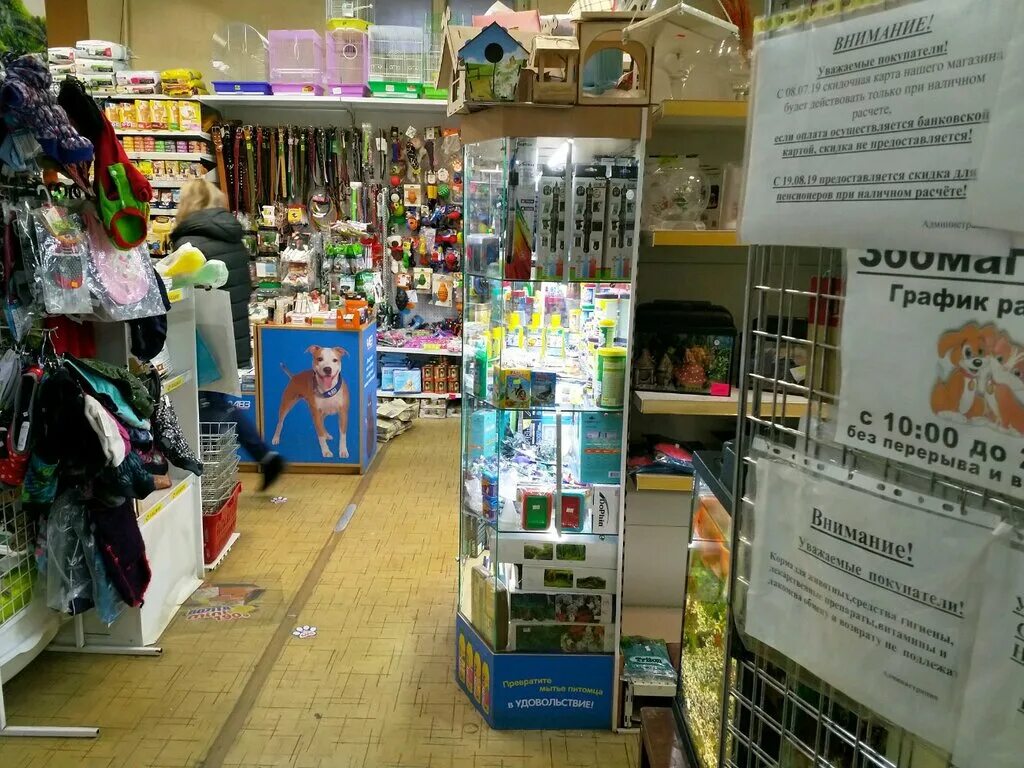 магазин ветна октябрьский. зоомагазины в красноярске с животными. ленина 26 красноярск. первый зоомагазин красноярск. ленина 26 уфа.