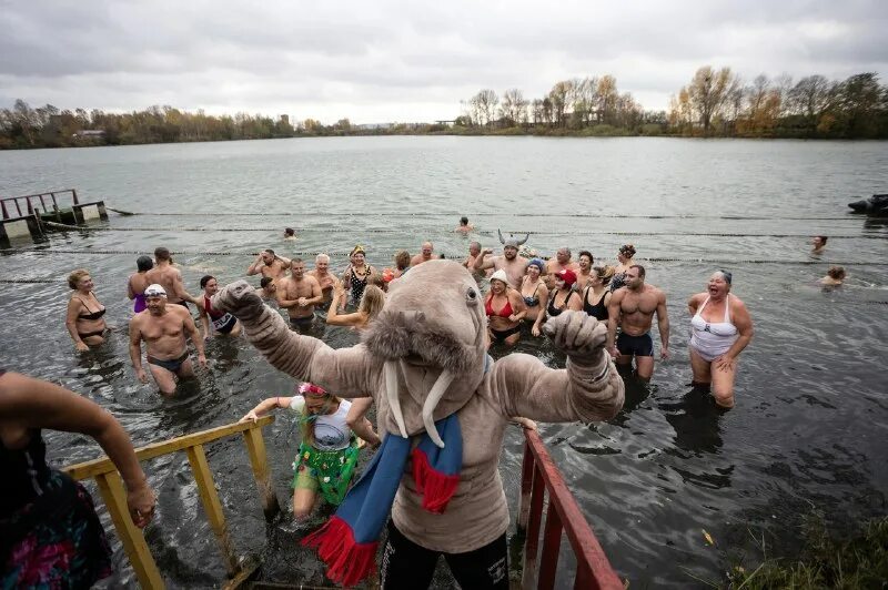 янтарные моржи спортивный клуб калининград. янтарные моржи.