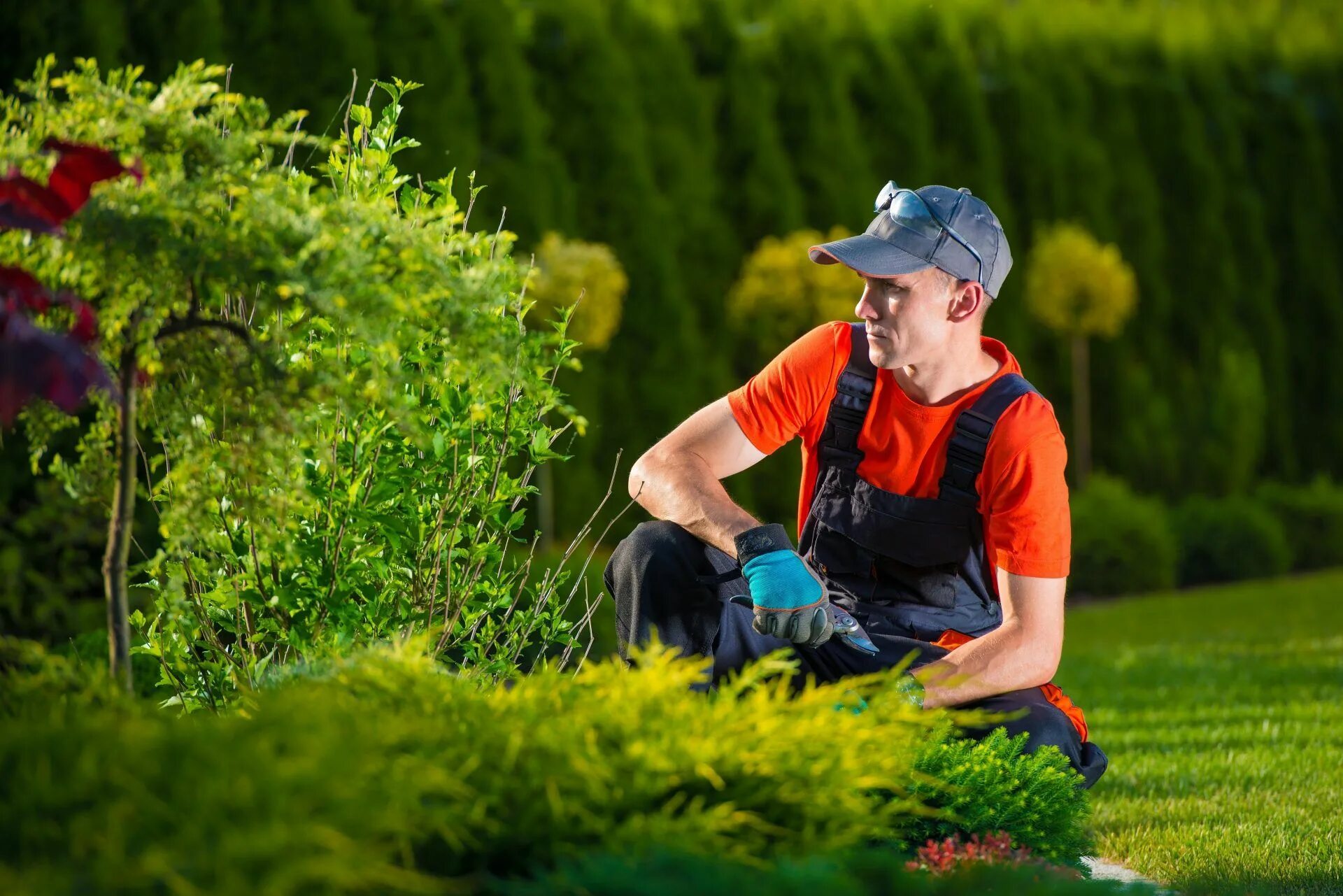 Садовник. Озеленитель. Садовник озеленитель. Цветовод озеленитель. They like gardening