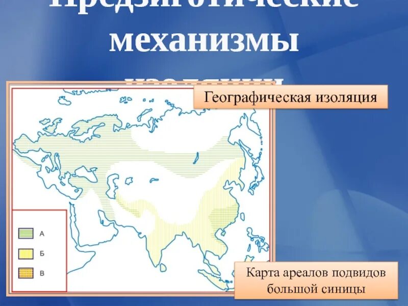 Географическая изоляция. Географическая изоляция схема. Механизм географической изоляции. Изолирующие механизмы географическая изоляция. Описание географической изоляции