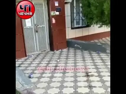 Чп чечня