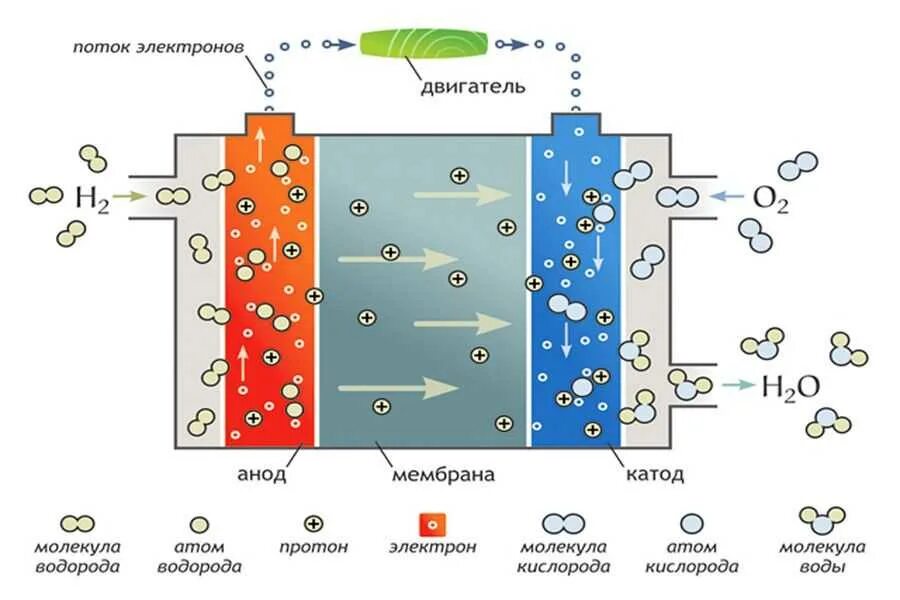 Водородно кислородный топливный элемент схема. Водородный двигатель схема. Принцип работы водородного. Транспорт на водородных топливных элементах. Топливная ячейка на водороде.