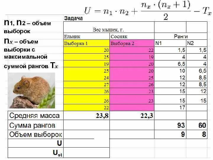 Сколько весит мышь. Сколько весит мышь
