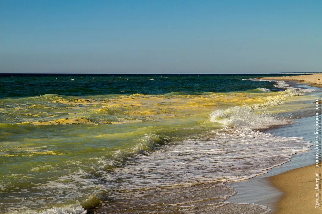 Ганзен балтийское море. Обои 4k морской берег балтика. Цвет балтийского моря. Финский залив волны. Белое море hd.