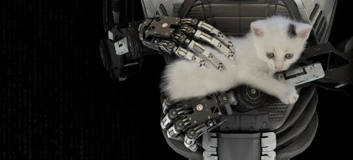 Кот и роботы игра. Talos principle Xbox. Которобот NECORO. Кот киборг. Робот кот.