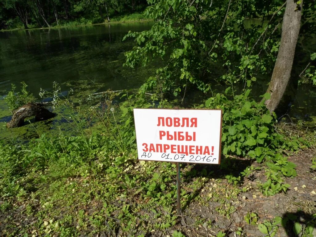 Рыбалка запрещена. Ловля рыбы запрещена. Рыбалка запрещена табличка. Лов рыбы запрещен. Когда запрещено ловить рыбу