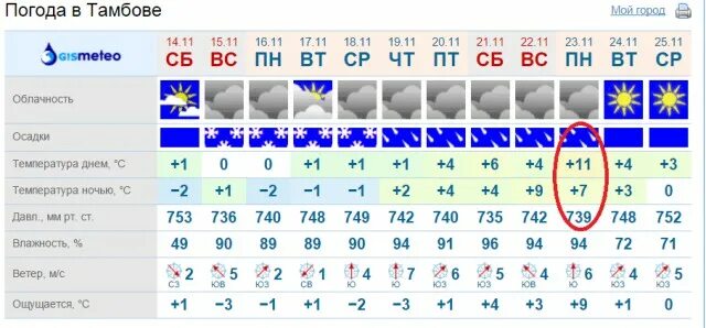 Тамбов погода на завтра по часам. Погода в Тамбове. Погода в Тамбове на неделю. Погода в Тамбове на 10 дней. Погода в Тамбове на неделю точный.