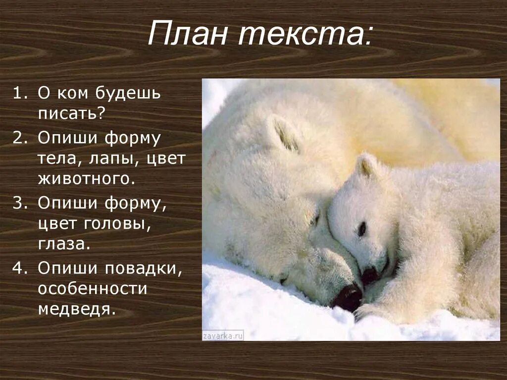 Задание к тексту белый медведь