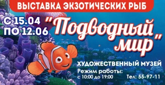 Выставка рыб стерлитамак. Выставка рыб «подводный мир» липецк. Выставка рыб новосибирск. Г. Выставка рыб в омске.