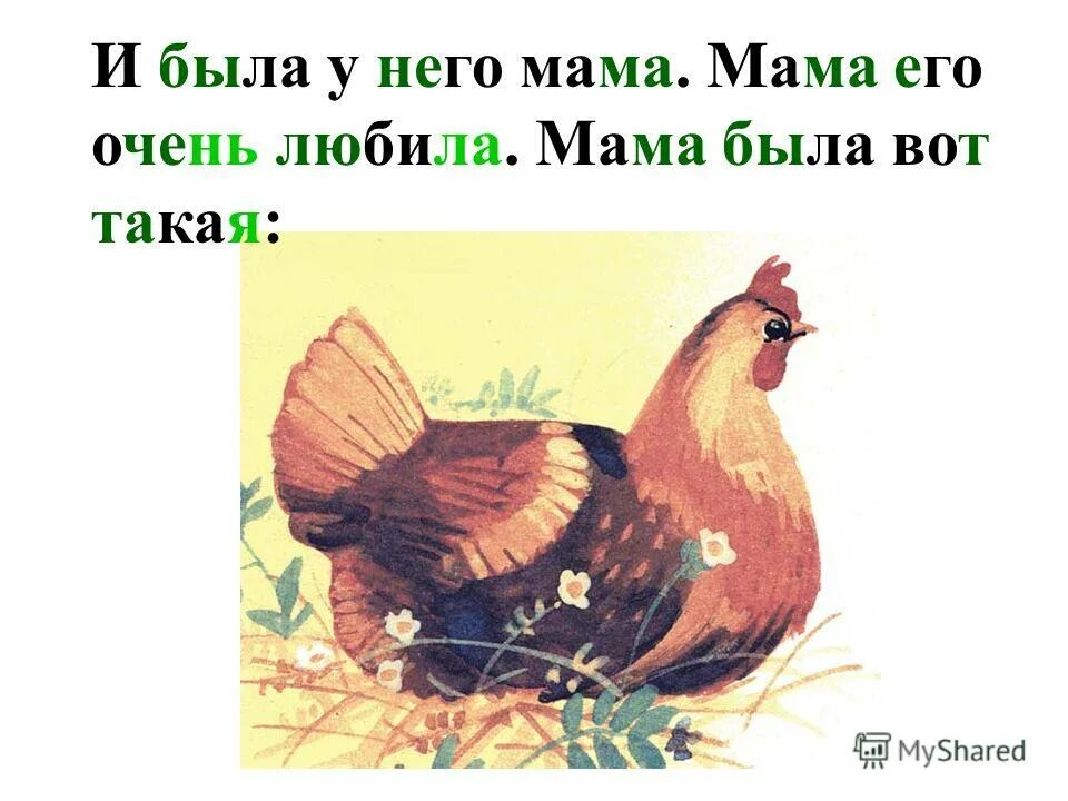 Песни у нас живет цыпленок. Жил на свете цыпленок он был маленький вот такой. Желтячок рассказ. Чуковский к. "цыплёнок". Цыпленок для презентации.