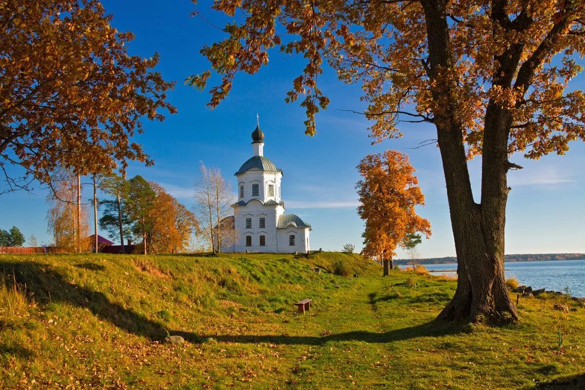 красноярск золотая церковь. золотая осень оренбург храм. осенний тамбов храмы купола. фото храма осенью. курск собор осень.