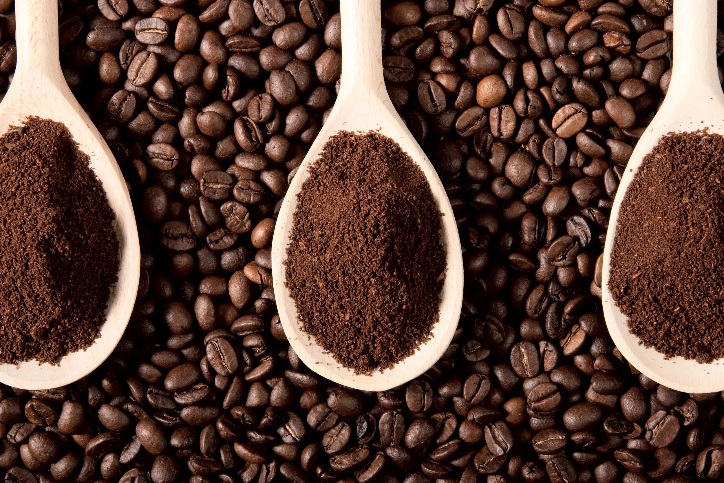 Зерновой кофе в турке. Кофе. Кофе в зернах. Кофейные зерна. Кофе молотый.