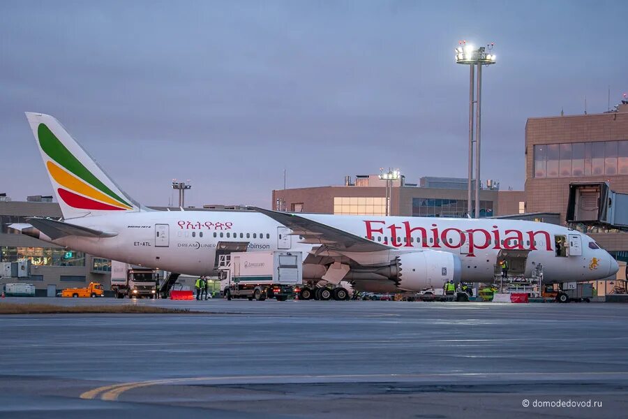 Ethiopian airlines рейс. Ethiopian Airlines в Домодедово. Эфиопиан Эйрлайнс 787. Боинг 787 Дримлайнер эфиопские авиалинии. Boeing 787 в Домодедово.