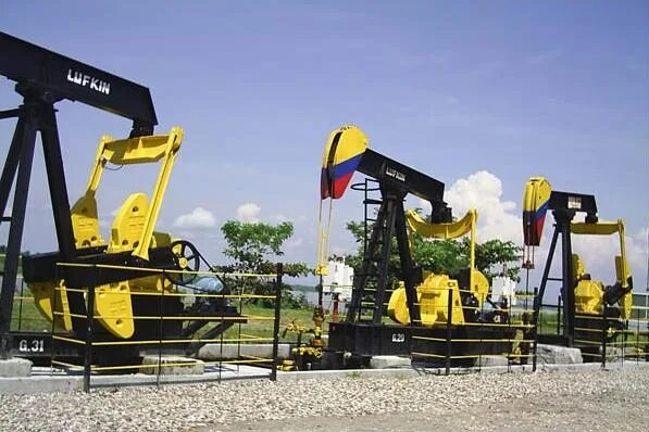 Колумбия плантации коки. Добыча нефти в колумбии. Производитель колумбии. Колумбия кокаин. Производитель колумбии.