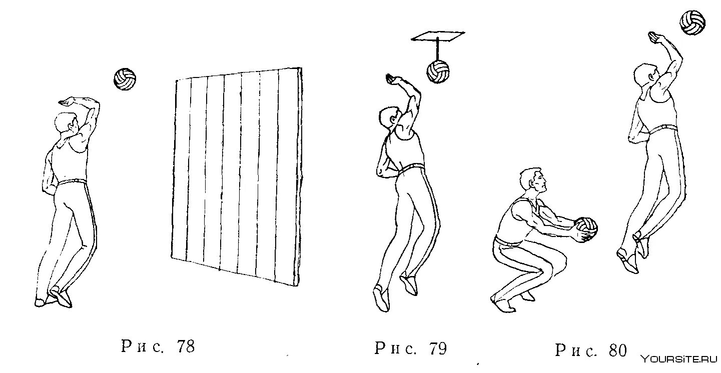 Упражнения для подачи в волейболе. Упражнения для волейбола. Силовые упражнения для волейболистов. Упражнения с волейбольным мячом. Упражнения для развития прыгучести в волейболе.