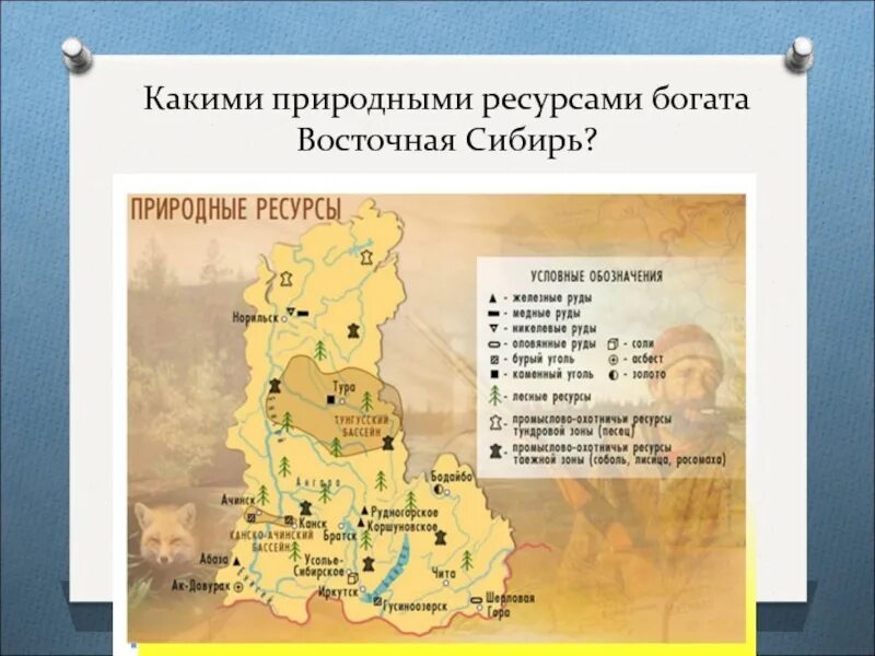 Какими природными ресурсами богата западная сибирь. Ресурсы Восточной Сибири. Природные ресурсы Восточной Сибири. Природные ресурсы Восточная Сибирь район. Природные ресурсы Западной Сибири.